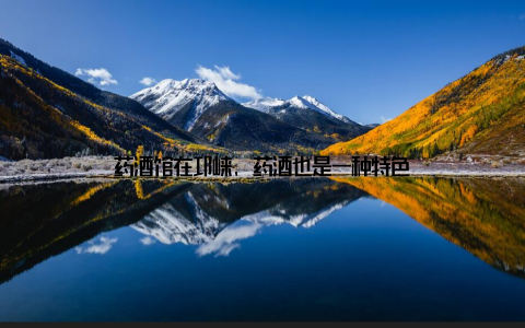 药酒馆在邛崃, 药酒也是一种特色