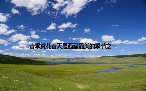 春季赏花春天是西藏最美的季节之一