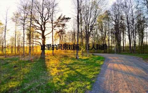 这里的风景如画, 让人陶醉