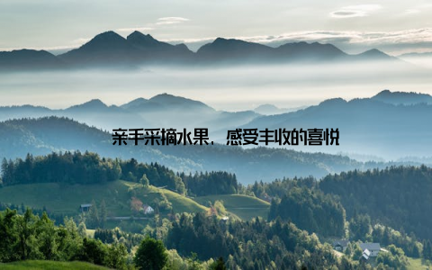 – 亲手采摘水果, 感受丰收的喜悦