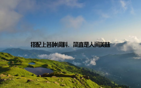 搭配上各种调料, 简直是人间美味