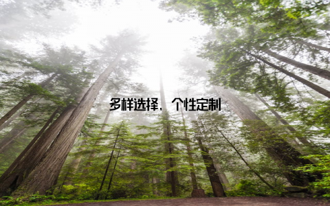 多样选择, 个性定制