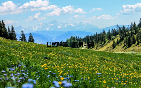 口感鲜美, 香气扑鼻