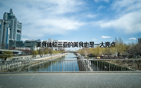 二、美食体验三亚的美食也是一大亮点