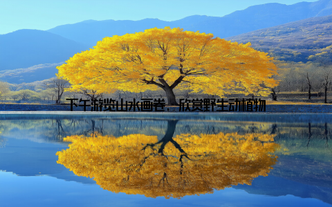 下午游览山水画卷, 欣赏野生动植物