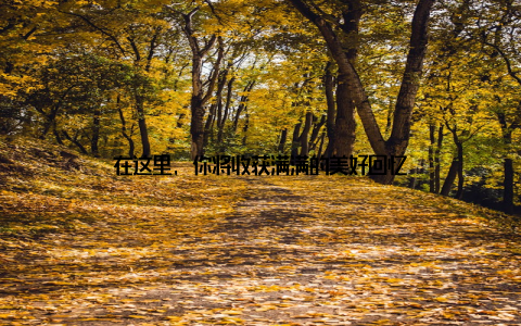 在这里, 你将收获满满的美好回忆