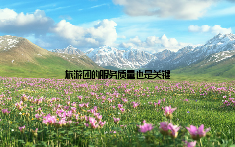 旅游团的服务质量也是关键