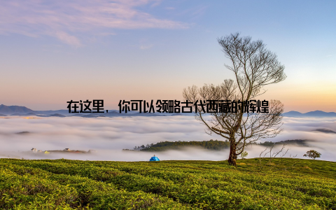 在这里, 你可以领略古代西藏的辉煌