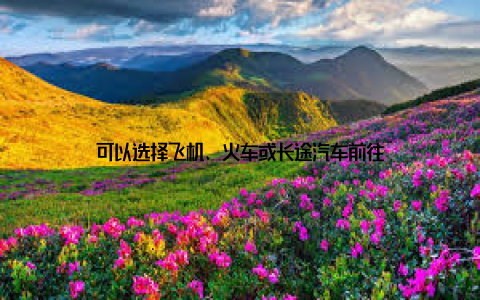 可以选择飞机、火车或长途汽车前往